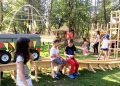 Aprobat de Guvern: crește lista beneficiarilor de foi gratuite în taberele de vară pentru copii
