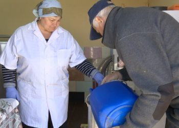 În R. Moldova sunt tot mai puține puncte de colectare a laptelui. Ministra Agriculturii: „Analizăm întreg lanțul valoric”
