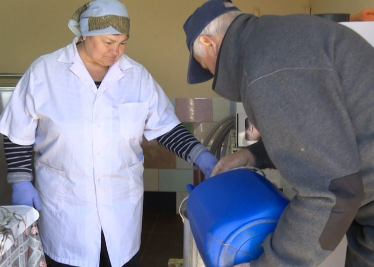 În R. Moldova sunt tot mai puține puncte de colectare a laptelui. Ministra Agriculturii: „Analizăm întreg lanțul valoric”