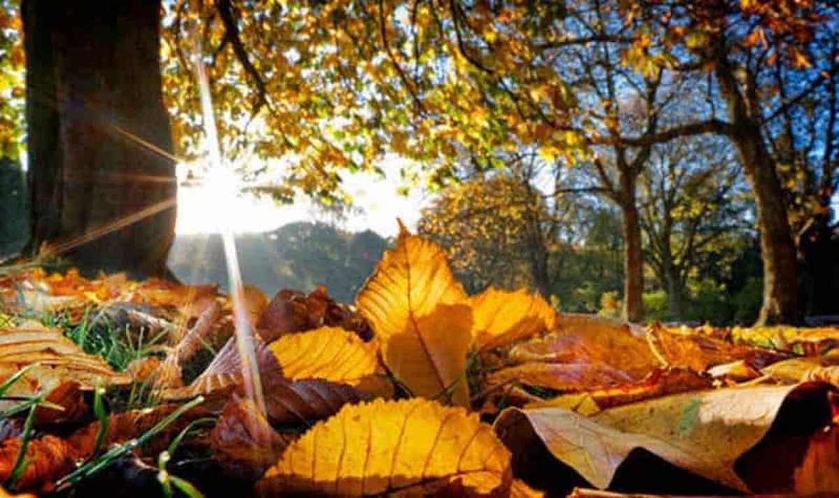 METEO // Vreme caldă în toată țara: până la +27 de grade Celsius