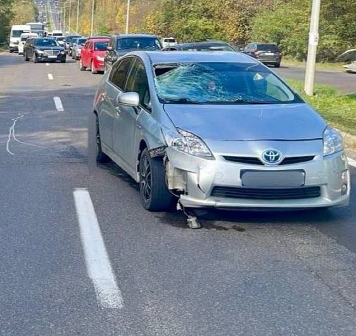 Un biciclist de 43 de ani a murit după ce a fost lovit de un automobil