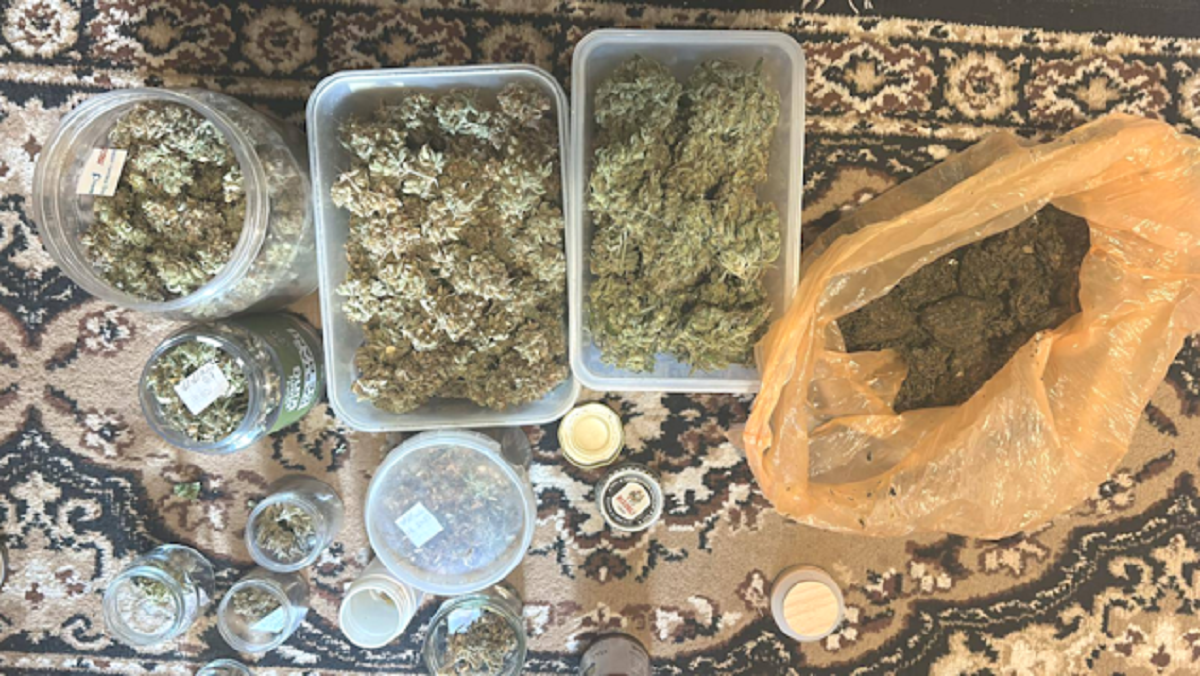 Laborator de canabis și kilograme de droguri, descoperite la Vadul lui Vodă