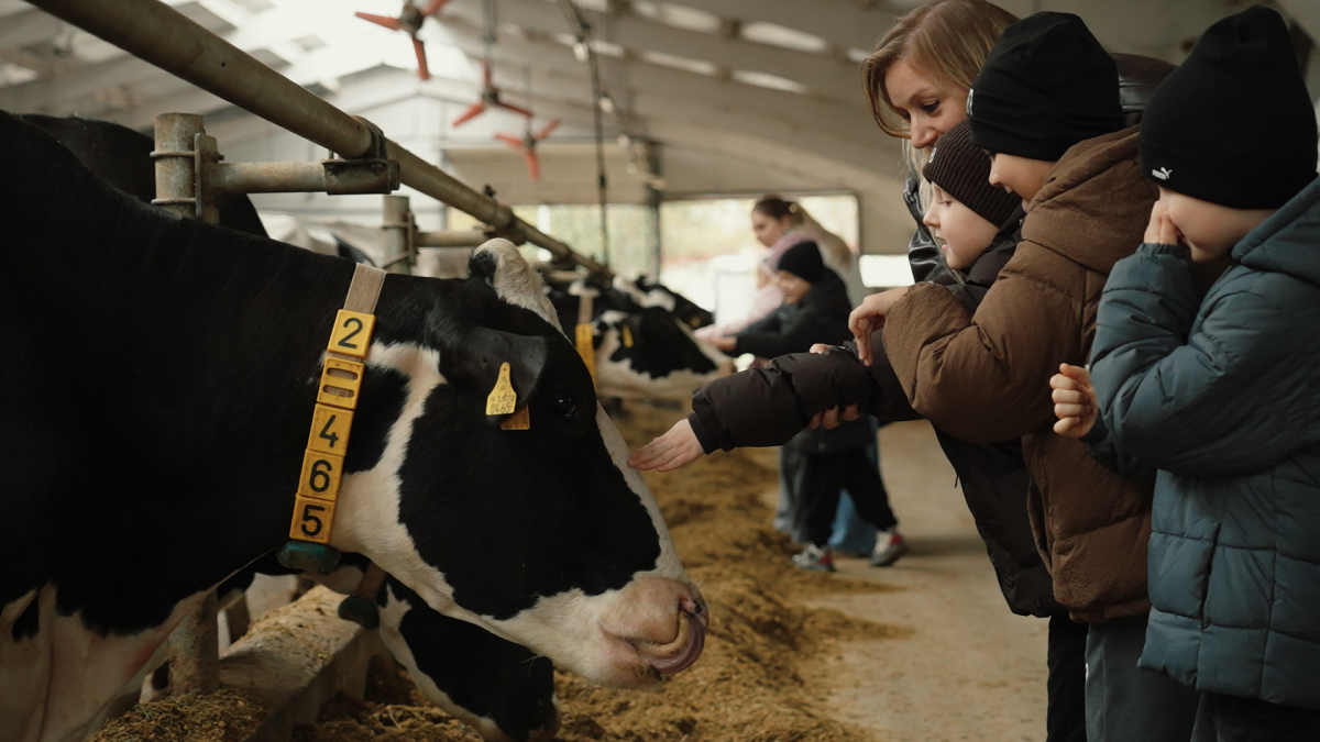 VIDEO // Au adoptat o vițelușă și au vorbit despre valoarea banilor: excursie la fermă pentru 130 de copii din Bălți (P)