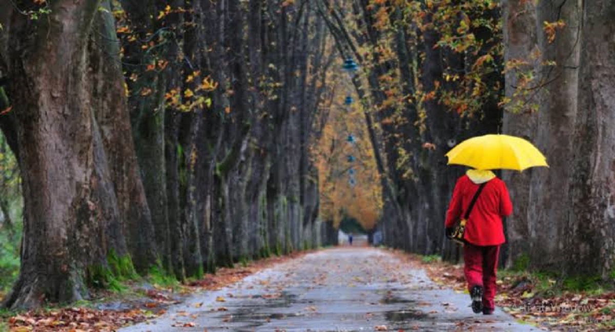 METEO // Vreme posomorâtă și rece. În nordul țării ne așteaptă precipitații