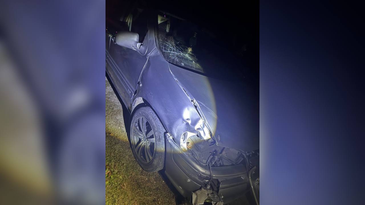 O femeie a fost lovită mortal de o mașină în timp ce își ducea bovina acasă