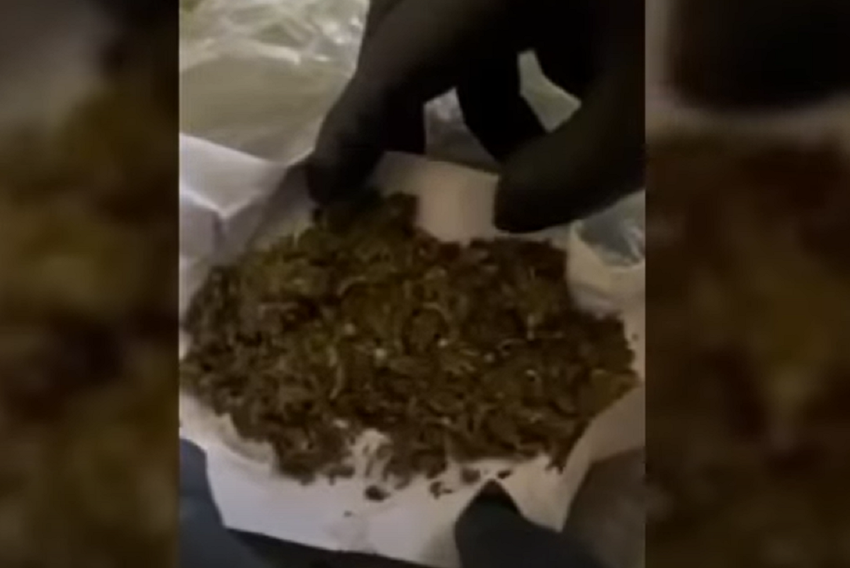 VIDEO //  Trafic ilicit de droguri și comerț ilegal cu produse alcoolice la Drochia. Trei persoane implicate