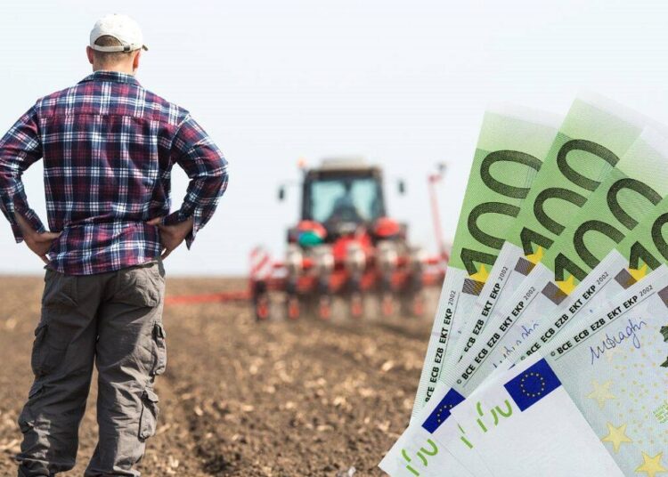 Agricultorii mai au la dispoziție o săptămână pentru a aplica pentru Creditul Agricol de Urgență