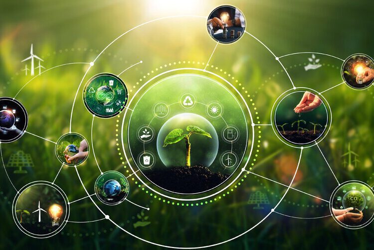 R. Moldova va avansa pe calea tranziției verzi. UE și PNUD demarează un nou proiect de 10 milioane de euro