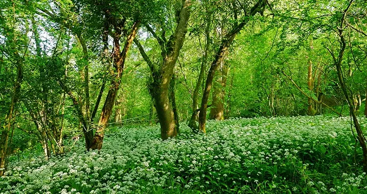 Cum va fi ultima zi de primăvară