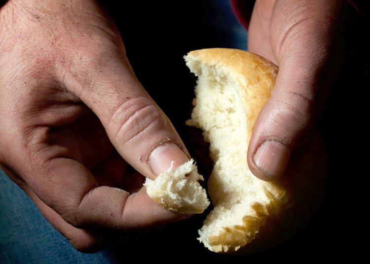 Austria va oferi R. Moldova 2 mln de euro pentru reducerea sărăciei