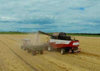 VIDEO | Mai puțin grâu și orz. Unii fermieri din nordul țării nu-și vor recupera nici măcar investițiile