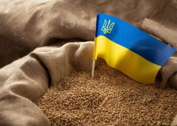 Cerealele care provin din Ucraina și tranzitează teritoriul țării noastre vor fi exceptate, în continuare, de la controlul ANSA