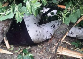 Minoră din Chișinău, găsită moartă sub un copac