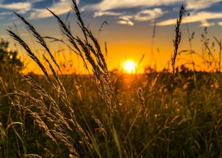 Astăzi va fi fierbinte. Ce prognozează meteorologii pentru toată luna iunie