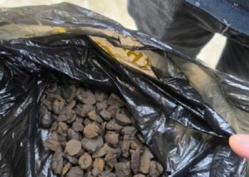 VIDEO | Ascundea hașișul sub pat. Un bărbat din nordul țării, reținut pentru contrabandă de droguri