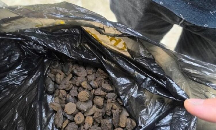 VIDEO | Ascundea hașișul sub pat. Un bărbat din nordul țării, reținut pentru contrabandă de droguri