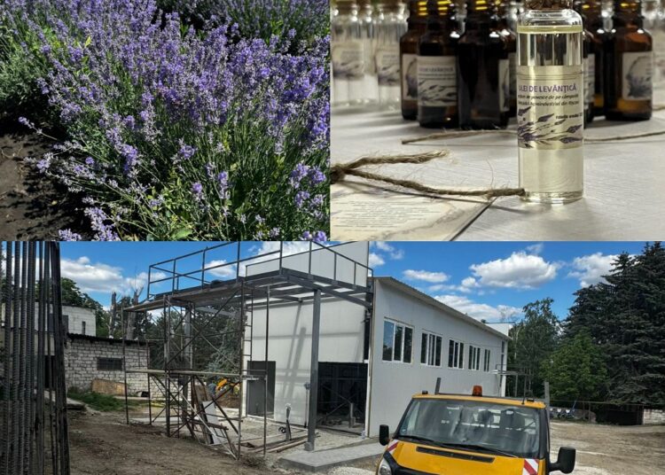 Investiție de 465 de mii de euro la Colegiul Agroindustrial din Râşcani. Instituția va avea un laborator modern