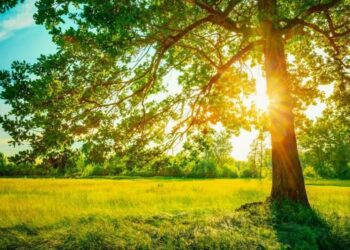 Vremea se încălzește în weekend