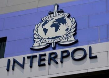 Un expert al Organizației Internaționale a Poliției Criminale va veni în Republica Moldova pentru a evalua activitatea biroului INTERPOL