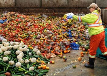 Moldova aruncă la gunoi tone de mâncare. Deputații au găsit o soluție pentru agenții economici