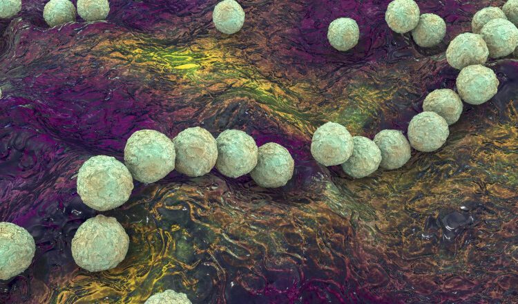 O bacterie rară „mâncătoare de carne” se răspândește în Japonia. Unii pacienți mor în doar 48 de ore de la infecție