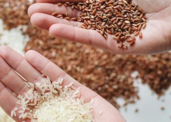 Orezul alb sau orezul brun: Avantajele și dezavantajele consumului celor două tipuri de alimente