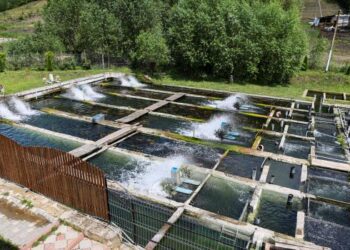 FOTO // Unica păstrăvărie din R. Moldova, amplasată la Nord, vizitată de premierul Dorin Recean