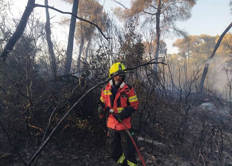 Prima intervenție a pompierilor moldoveni în Grecia: au ajutat la stingerea unui incendiu din Epidaurus