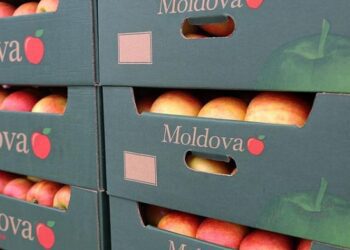 Merele din Republica Moldova sunt vândute în peste 30 de țări ale lumii. Volumul exporturilor a crescut