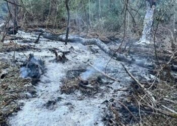 Trei drone ar fi căzut la Plauru, pe malul românesc al Dunării, în urma exploziilor de noaptea trecută, susțin localnicii