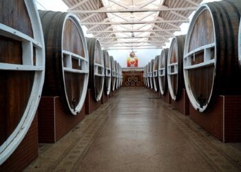 „Barza Albă” din Bălți va fuziona cu „Aroma”. Companiile vor să-și eficientizeze activitatea