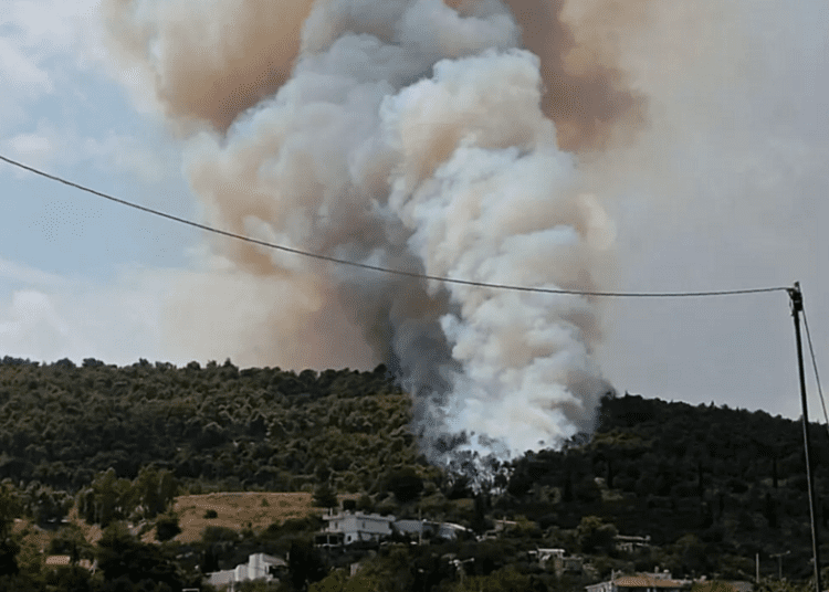 Nou incendiu de amploare în pădurile de lângă Atena. 100 de pompieri cu 25 de autospeciale și 16 aeronave de stingere au intervenit