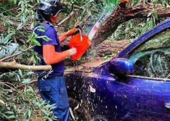 O creangă de salcie a căzut peste o mașină. În interior se afla un copil