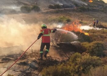 600 de hectare de vegetație și pădure, cuprinse de flăcări în Grecia. 13 pompieri moldoveni au intervenit la fața locului