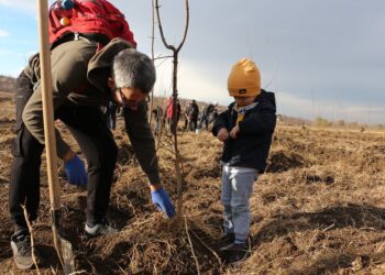 Fonduri suplimentare pentru lucrările de îngrijire și pregătirea solului pentru plantările din toamnă. Lazarencu: Este foarte important să continuăm să plantăm copaci