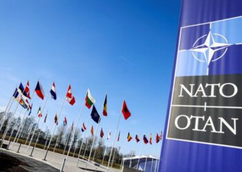 Summit NATO // Declaraţia finală menţionează sprijinul pentru R. Moldova și importanţa strategică a regiunii Mării Negre