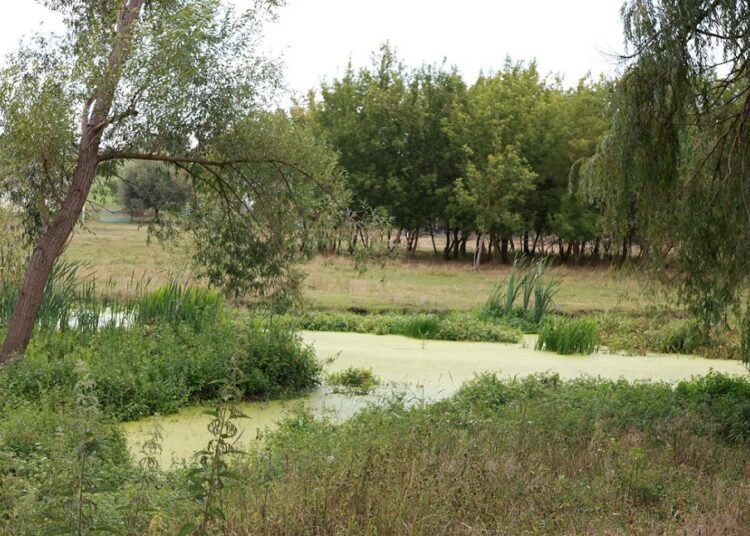 Ministerul Mediului alocă 17 milioane de lei pentru revitalizarea râului Cubolta din satul Plop, raionul Dondușeni