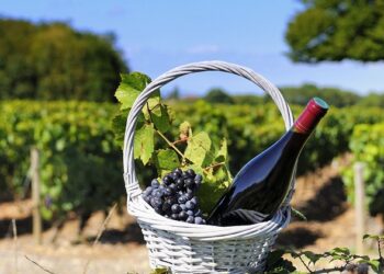 Republica Moldova va deveni capitala europeană a turismului vitivinicol