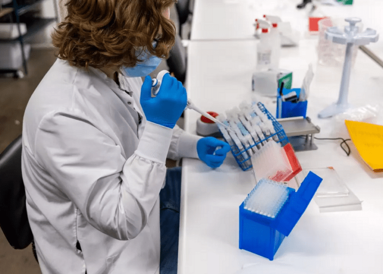 Ce se ştie despre virusul Oropouche, care a făcut primele decese la nivel global. Cum se transmite și care sunt simptomele