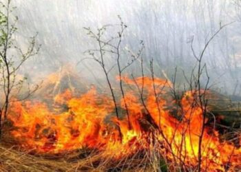 Pericol de incendiu pe întreg teritoriul R. Moldova