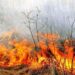 Pericol de incendiu pe întreg teritoriul R. Moldova