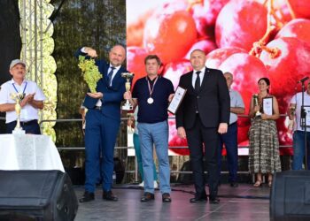 Cel mai mare strugure din Moldova. Vezi cu cât a fost vândut