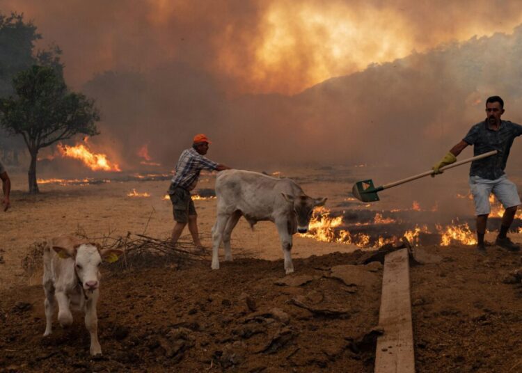 În plin sezon turistic, Turcia se confruntă cu incendii de vegetație