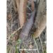 Un proiectil de artilerie a fost depistat în zona de frontieră