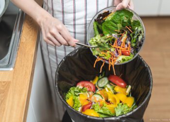 Risipă alimentară: Moldovenii aruncă la gunoi o treime din mâncarea pe care o cumpără