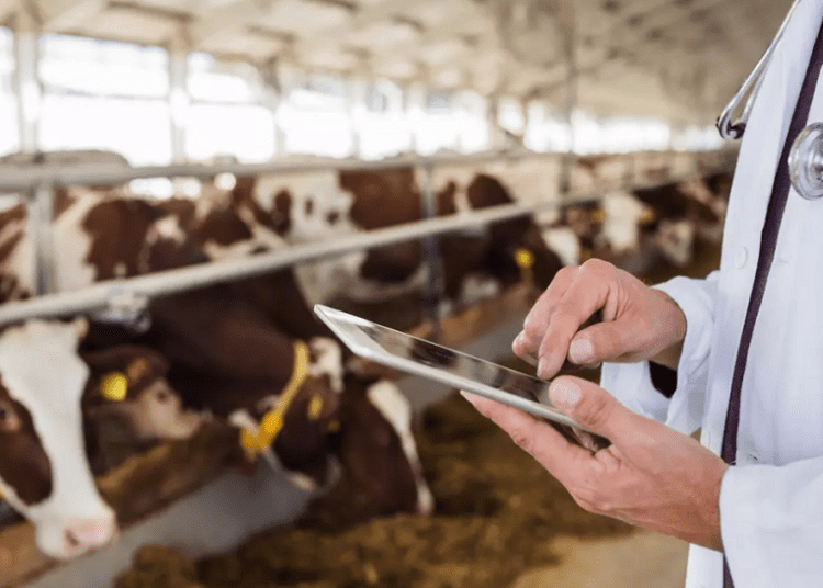 Cu ajutorul Guvernului Cehiei, în R. Moldova funcționează o linie gratuită de asistență veterinară