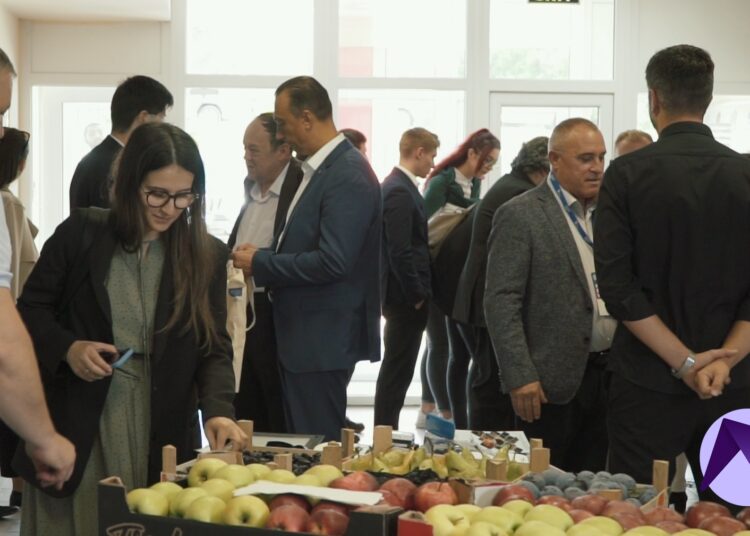 VIDEO | Moldova Business Week a ajuns în nordul țării. Este cel mai important eveniment economic al anului