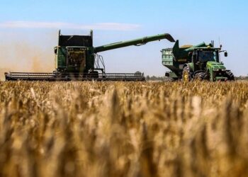 Guvernul va aloca 100 de milioane de lei pentru producătorii de cereale afectați de secetă