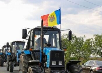 Agricultorii anunță că vor ieși la proteste