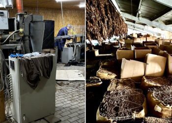 FOTO / VIDEO | O fabrică clandestină de producere a țigărilor, descoperită la Fălești